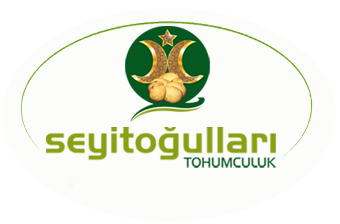 Seyitoğulları Tohumculuk | Patates Tohumu | Sertifikalı Patates Tohumu